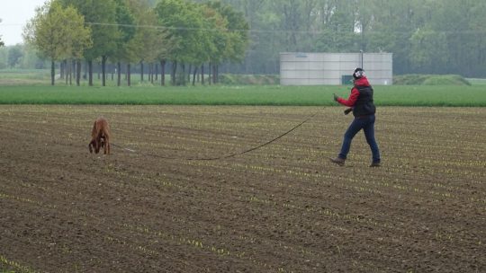 Volle Punktzahl ersucht