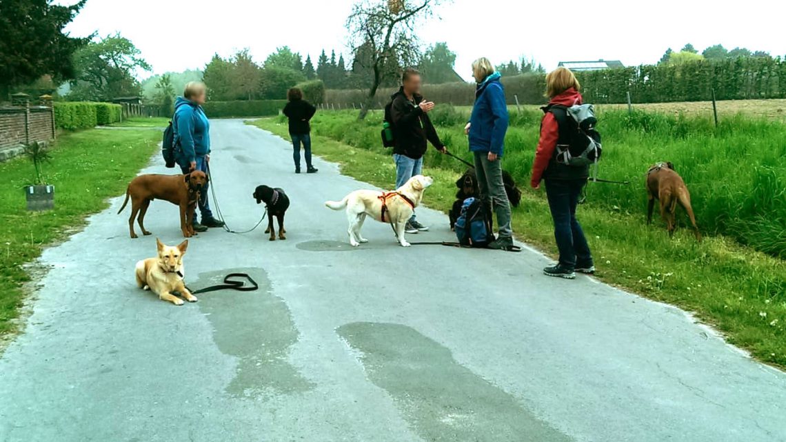 1. Mai-Wanderung mit Hundefreunden
