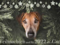 Frohe Weihnachten
