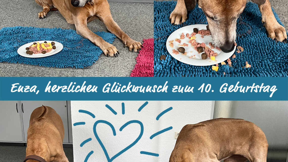 Lieber Enza, herzlichen Glückwunsch zum 10. Geburtstag