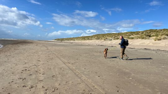 Herbsturlaub in Zeeland