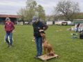 Obedience Seminar