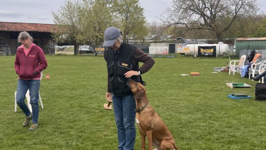 Obedience Seminar
